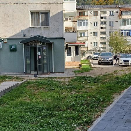 Apartament Brezoi Appartement Buitenkant foto