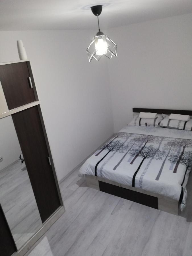 Apartament Brezoi Appartement Buitenkant foto