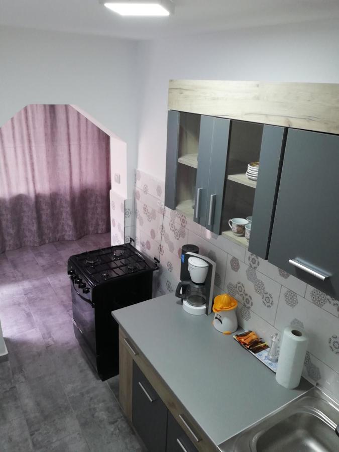 Apartament Brezoi Appartement Buitenkant foto