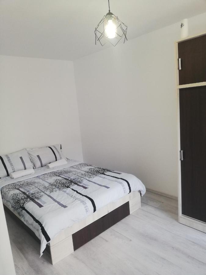 Apartament Brezoi Appartement Buitenkant foto