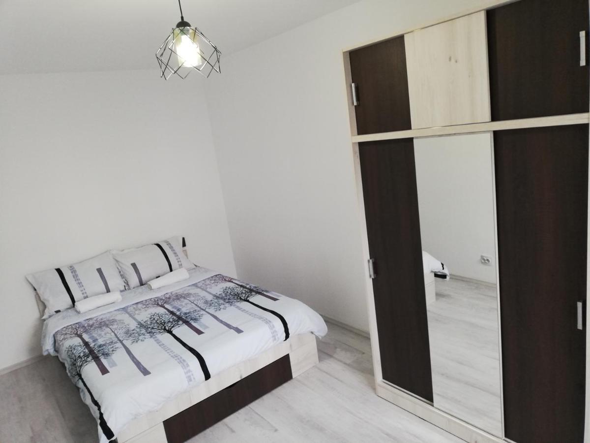 Apartament Brezoi Appartement Buitenkant foto