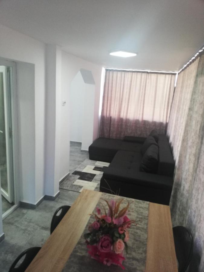 Apartament Brezoi Appartement Buitenkant foto