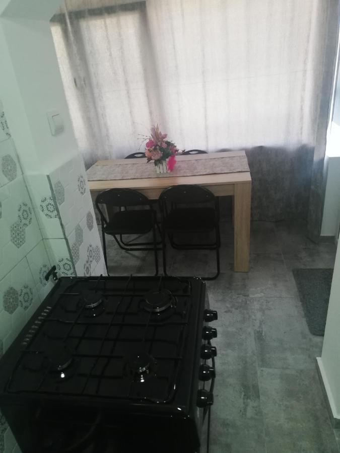 Apartament Brezoi Appartement Buitenkant foto