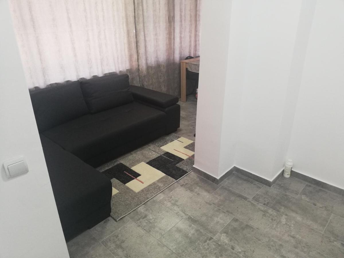 Apartament Brezoi Appartement Buitenkant foto