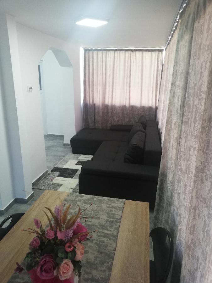 Apartament Brezoi Appartement Buitenkant foto