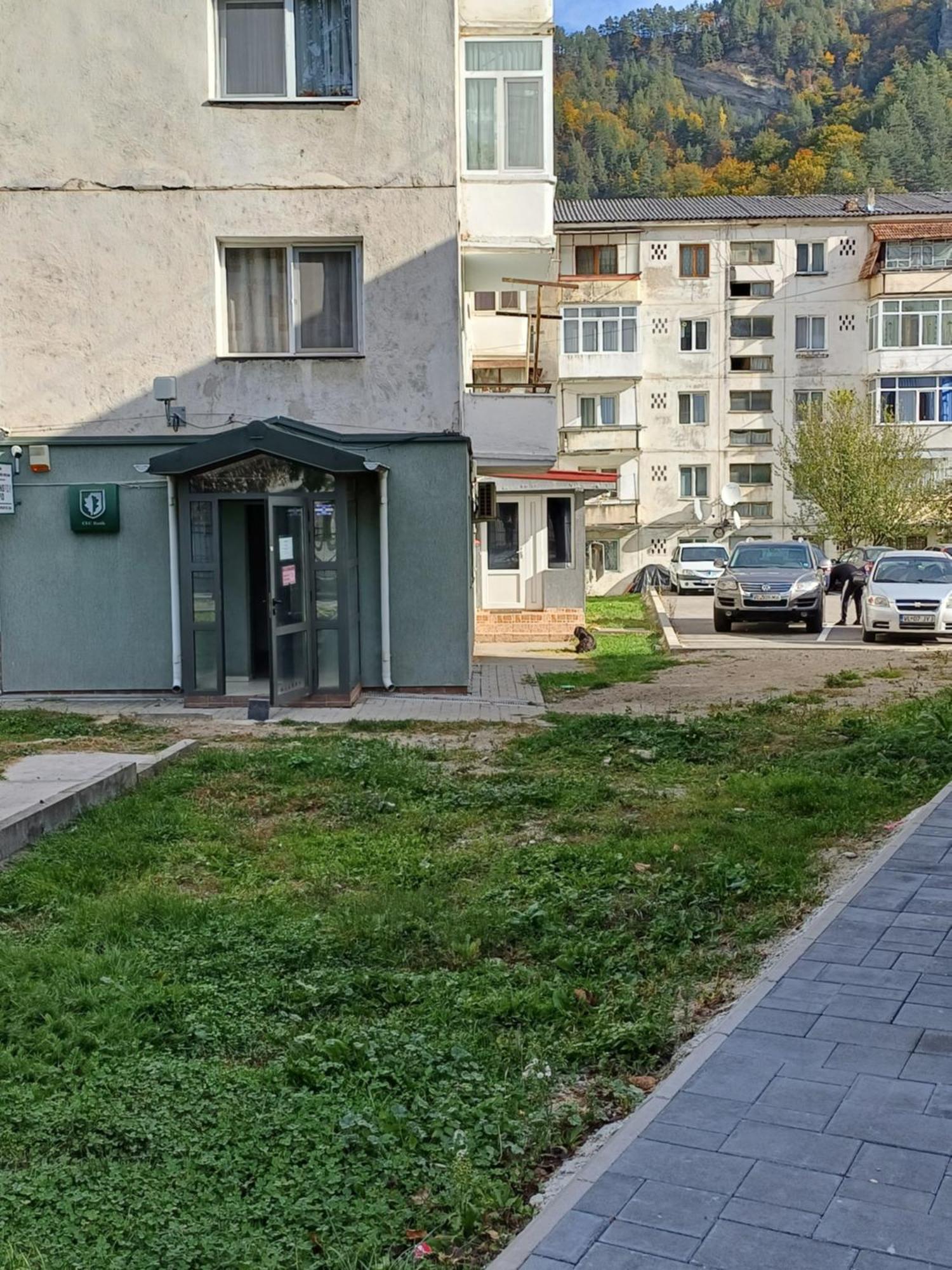 Apartament Brezoi Appartement Buitenkant foto